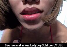quickie handjob with ladyboy teen 18+