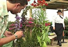 Chunky Blonde Babe Gets Deepthroat And Handjob Outdoors By Two Well-Hung Guys