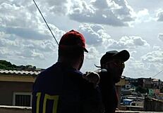 Public laze cruising with hot amateurs and ass lovers