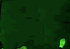 Yo, this 3D sexy influencer slut teases hard!