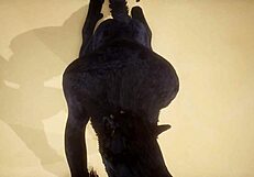 POV สองหมาป่าเกย์เย็ดกันดุ - ธรรมชาติ