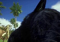 Pov Two Gay Wolves Fucking - Wildlife