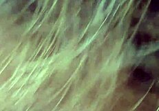 want to see this hot gay mamada? it's wild!