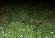 Измъкнахме се в това зловещо изоставено място за мръсни приказки и секс... оопс, имам предвид с-секс!