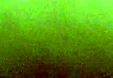 personal encounter with attractive guy