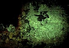 Vintage Erotic Comic Drawings