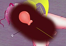 kodokus successor gallery featuring anime hentai scenes