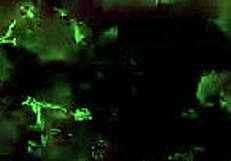 Vintage Erotic Illustration Sparks Subtle Desire