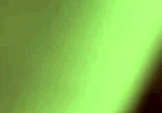 Intense amateur blowjob from cutie