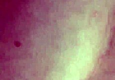 New Underwear Hides A Wet Pussy