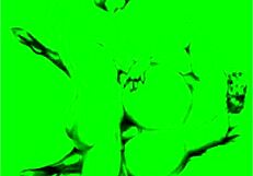 VINTAGE EROTIC DRAWINGS!