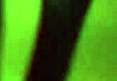 Thrilling Public Flashing And Screaming Masturbation In Spa