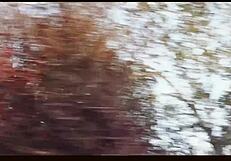 Oklahoma Farm Sex in Country Music Video