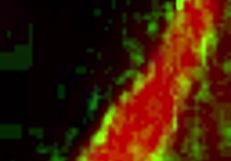 Taimanin Asagi Vol 01 Gyakushuu No Oboro 4K