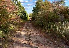 Intriguing public display: athletic hottie gets ass fucked doggystyle in city park crowd