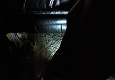 britney madison has extreme van pov session