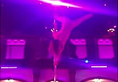 Destiny 18+ Mae polni plesni set v Oval Office Green Bay očara