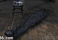 Femdom and Maledom BDSM porn with intense pleasure and pain