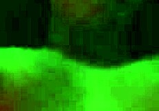 I crave that tattooed argentinian prostitute's wild passion