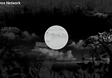 Does This Sexy Amateur Crave Her First Blowjob?