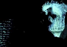 Vintage taboo granny fanny in wild foursome action.