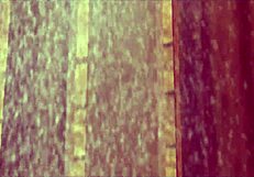 Home Alone Full Movie Featuring Redhead In Solo Scene