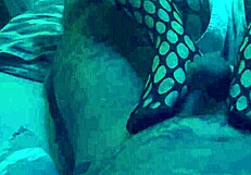 sexy footjob in nylons and leggings