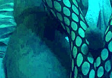 sexy footjob in nylons and leggings