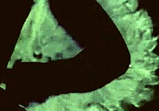 ¿Curioso por Bocetos Eróticos Vintage del Pasado?