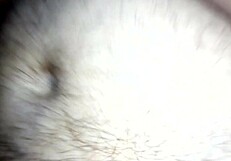 eu e minha novinha de 18 no motel fazendo sexo