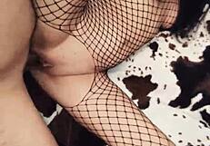 Fishnet Underwear Anal Close-Up
