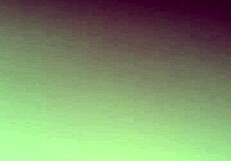 is that pussy too tight for this huge black cock?