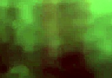 Anal Whore Fingered To Orgasm