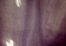 Detailed anal sex featuring big tits and small 18+ tits during assfucking