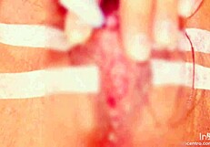 clitoral suction brings bound pussy to orgasm