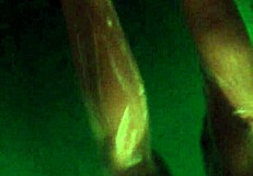 Mohana Bathing Hidden Cam Part 2