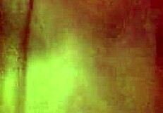 i enjoy a pretty bbw sucking my cock amazingly