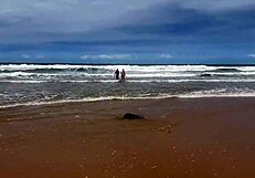 Eu e minha amiga tiramos o biquíni na praia da bahia e demos pra todos os machos