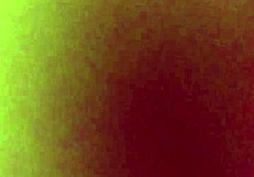 Slut bends over for huge cock pounding