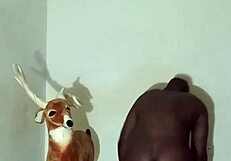 Zodiacs Patience Shines in Group Doggystyle Display