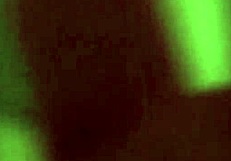 Brynn jay sucks and fucks big cock passionately