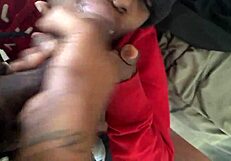 Trim 1b7a948e-c549-4a55-bebc-a556c8275b86 Mov - A Simple Video Clip.