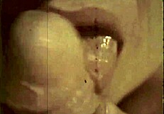 the wonderful world of vintage pornography vintage hairy milf