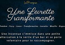 The furry character in crossdressing engages in transforming levrette with French audio.