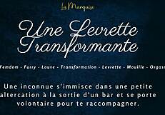 The furry character in crossdressing engages in transforming levrette with French audio.