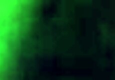 That hot mature amateur is sucking my cock so good.