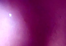 A bi-sexual beauty with natural big boobs comes to my house for a hot experience