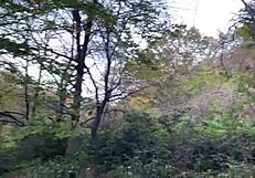 Rough Outdoor Forest Sex with Teen Girl Spanked and Pussy Fucked