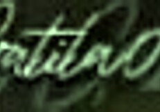 i moan asking for cocks to fuck me nicely