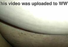 i can't get enough of this young bull pounding my fat milf bbw ass!